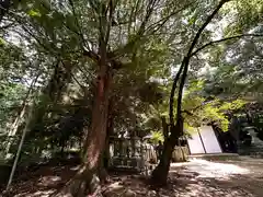 山辺御縣坐神社(奈良県)