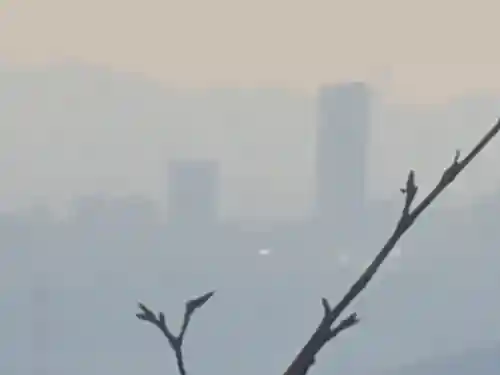 醍醐寺（上醍醐）(京都府)