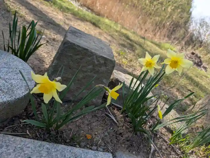宇賀神さま(福島県)