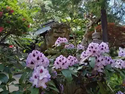 大宝八幡宮(茨城県)