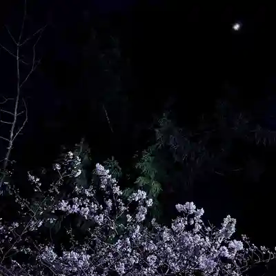 伊勢の国 四天王寺(三重県)