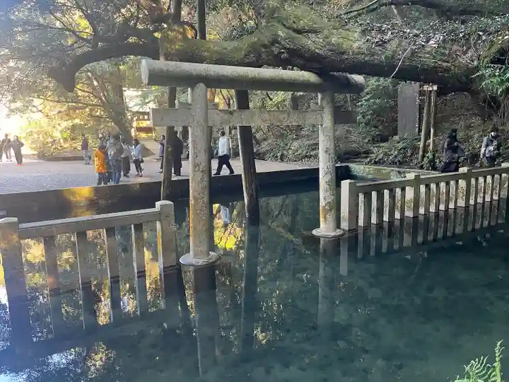 鹿島神宮(茨城県)