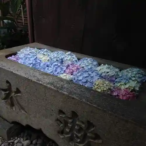 菅生神社の手水舎
