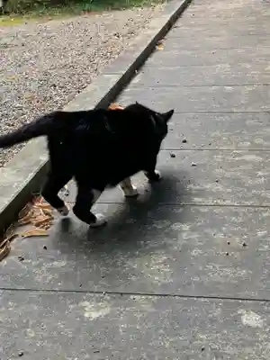長林寺(西宮長林寺)の動物