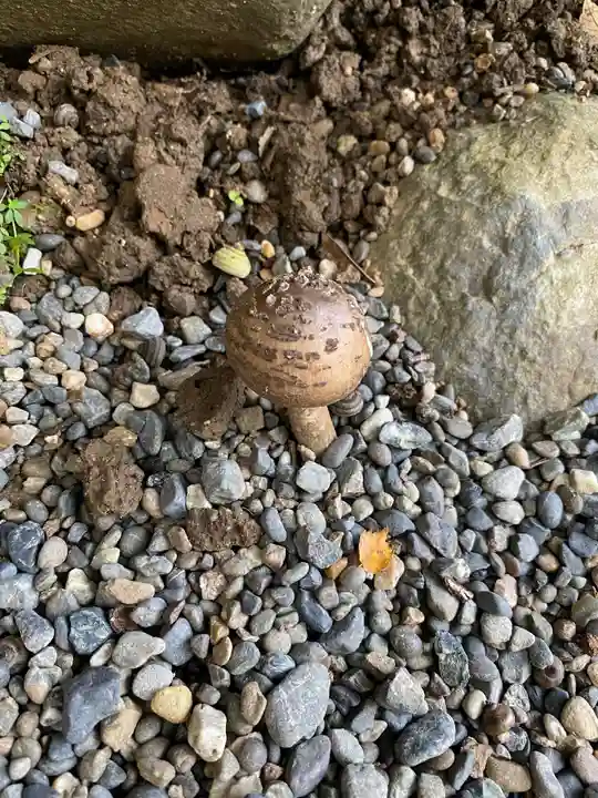 伊勢神宮内宮(皇大神宮)の自然