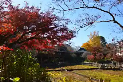 本土寺(千葉県)