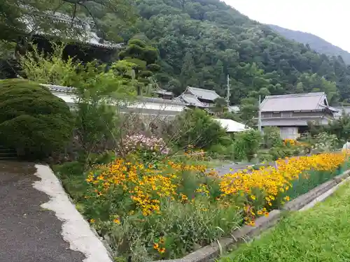 金剛城寺の庭園