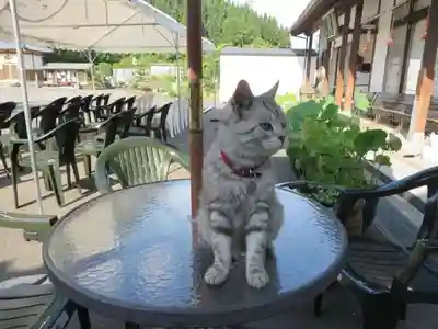 御誕生寺（猫寺）(福井県)