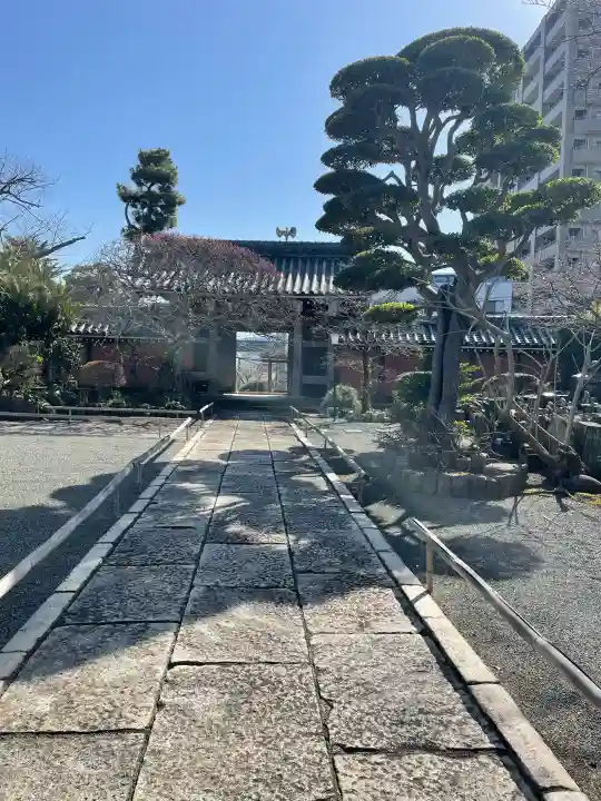 蓮光寺の{uncategorized: "未分類", other: "その他", undefined: "問題あり", building: "その他建物", grave: "お墓", sacred_gate: "鳥居", guardian: "狛犬", statue: "像", buddha: "仏像", history: "歴史", nature: "自然", garden: "庭園", animal: "動物", pagoda: "塔", temizu: "手水舎", mountain_gate: "山門・神門", sanctuary: "本殿・本堂", subordinate: "末社・摂社", art: "芸術", scenery: "景色", jizo: "地蔵", ema: "絵馬", goshuin: "御朱印", omikuji: "おみくじ", items: "授与品その他", amulet: "お守り", goshuincho: "御朱印帳", eats: "食事", festival: "お祭り", votive_dance: "神楽", shichigosan: "七五三参", wedding: "結婚式", experience: "体験その他", initially: "初詣", around: "周辺", anti_infection: "感染症対策"}