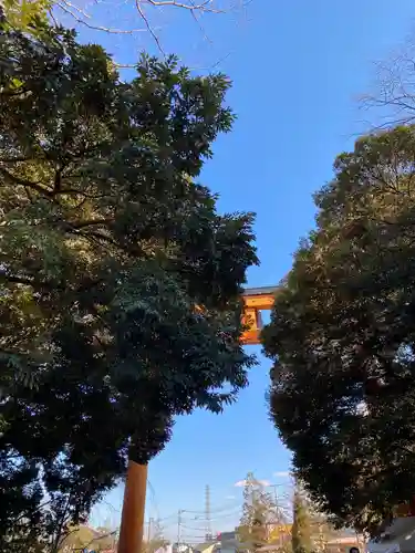 川越氷川神社の鳥居