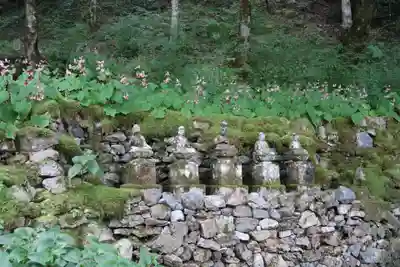 古知谷阿弥陀寺(京都府)