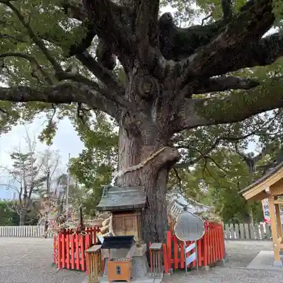 百舌鳥八幡宮(大阪府)