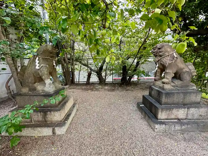 堀越神社(大阪府)