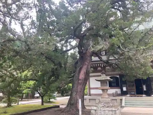 円覚寺(神奈川県)