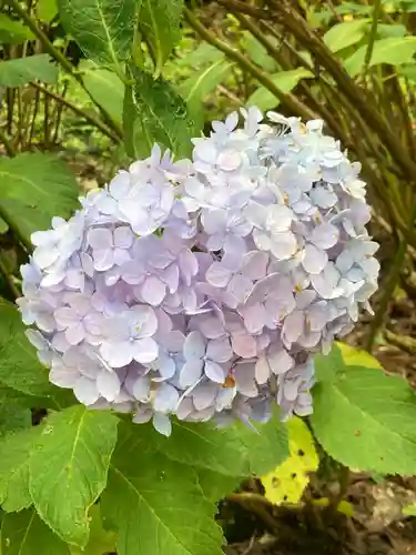 弘長寺(長野県)