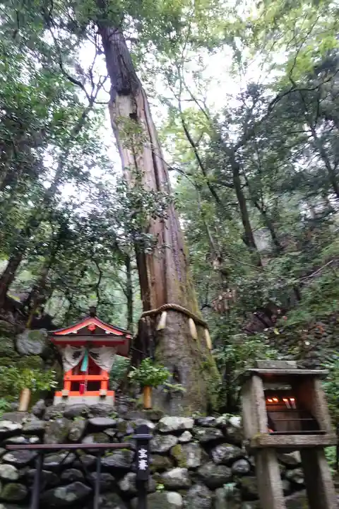 鞍馬寺の自然