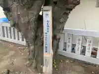 弥生神社(神奈川県)