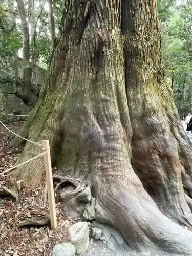 伊勢神宮内宮（皇大神宮）(三重県)