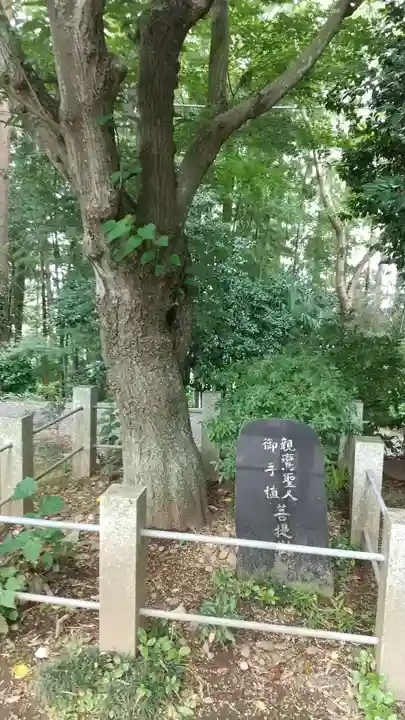 真仏寺のその他建物