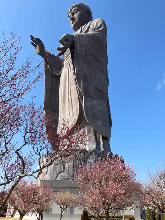東本願寺本廟 牛久浄苑(牛久大仏)(茨城県)
