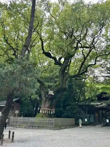 熱田神宮(愛知県)