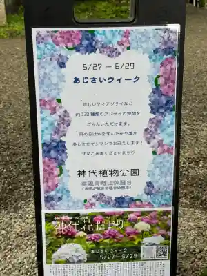 深大寺(東京都)