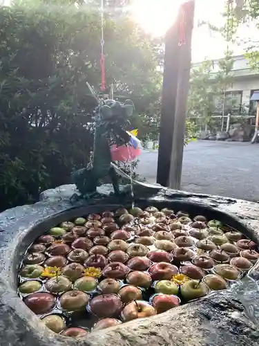 廣田神社～病厄除守護神～の手水