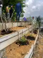 飯部磐座神社(福井県)