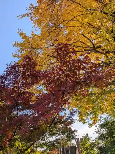 仙寿院(東京都)