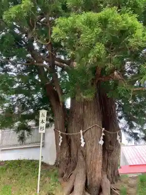岩木山神社(青森県)