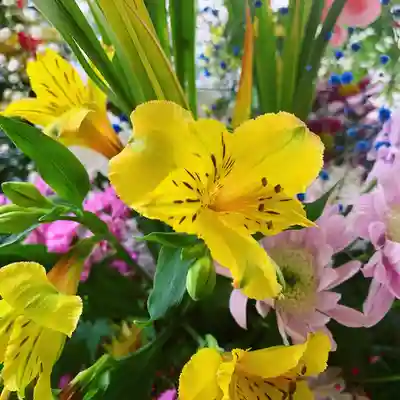 滑川神社 - 仕事と子どもの守り神の手水舎