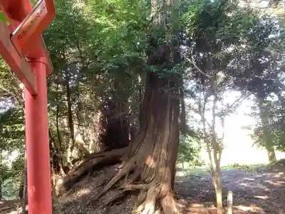 美濃國一宮　南宮大社(岐阜県)