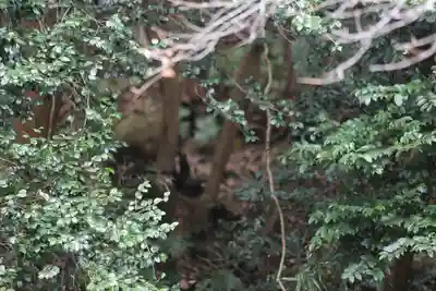 日本寺(千葉県)