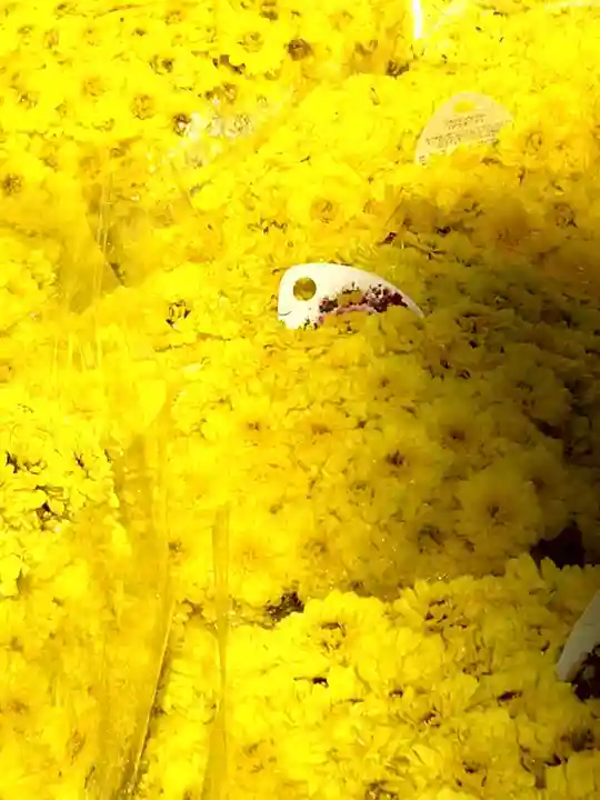 眞性寺(東京都)