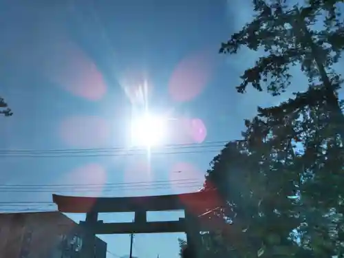 甲斐國一宮 浅間神社の自然