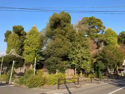 井細田八幡神社(神奈川県)