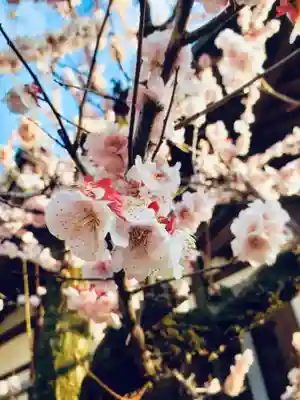 瑞円寺(東京都)