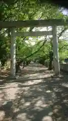 酒見神社の鳥居