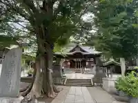 滝野川八幡神社(東京都)
