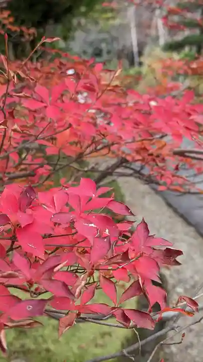 法金剛院(京都府)