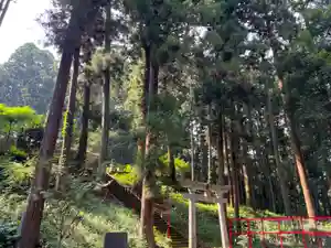 大宮温泉神社の鳥居(2022年08月15日(月) 07時10分41秒投稿)