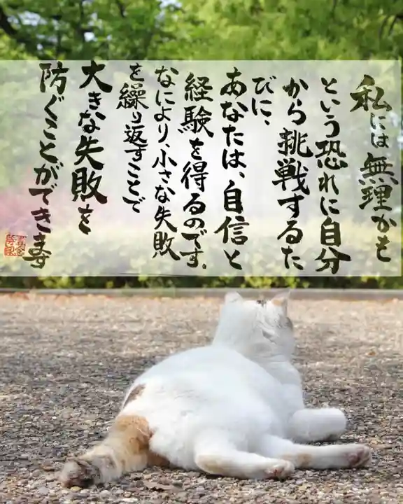 専念寺(大阪府)