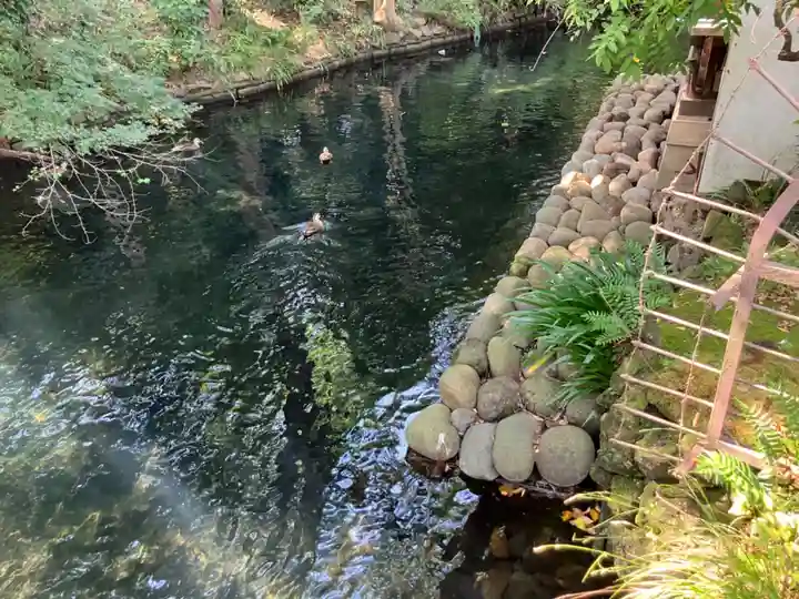 井の頭弁財天(大盛寺)(東京都)