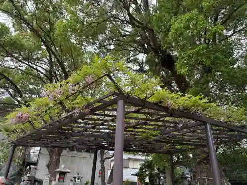 葛井寺の{uncategorized: "未分類", other: "その他", undefined: "問題あり", building: "その他建物", grave: "お墓", sacred_gate: "鳥居", guardian: "狛犬", statue: "像", buddha: "仏像", history: "歴史", nature: "自然", garden: "庭園", animal: "動物", pagoda: "塔", temizu: "手水舎", mountain_gate: "山門・神門", sanctuary: "本殿・本堂", subordinate: "末社・摂社", art: "芸術", scenery: "景色", jizo: "地蔵", ema: "絵馬", goshuin: "御朱印", omikuji: "おみくじ", items: "授与品その他", amulet: "お守り", goshuincho: "御朱印帳", eats: "食事", festival: "お祭り", votive_dance: "神楽", shichigosan: "七五三参", wedding: "結婚式", experience: "体験その他", initially: "初詣", around: "周辺", anti_infection: "感染症対策"}