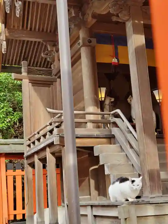 伏見稲荷大社の動物