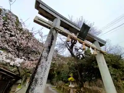 玉作湯神社(島根県)