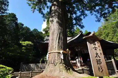 北口本宮冨士浅間神社(山梨県)