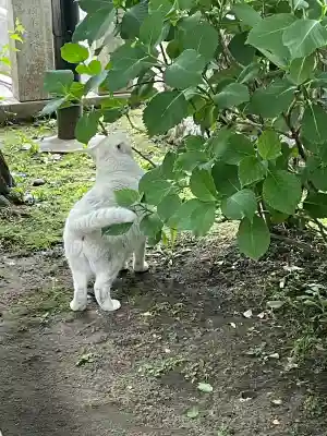 久國神社(東京都)