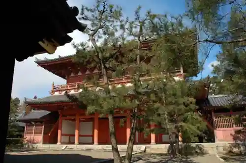 大徳寺の建物その他