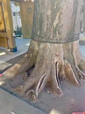 覺願寺(東京都)